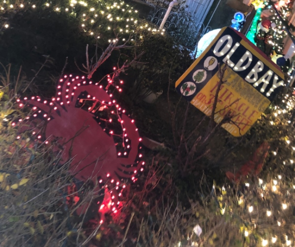 Baltimore themed lights